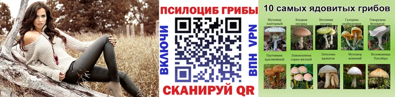 Псилоцибиновые грибы мухоморы  как найти наркотики  Салехард 